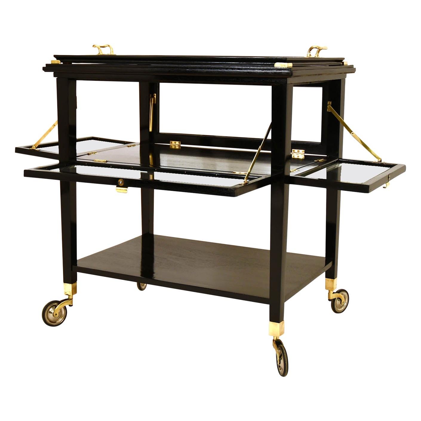 Art Nouveau Black Stained Serving Cart Tea Cart, Austria, 1910