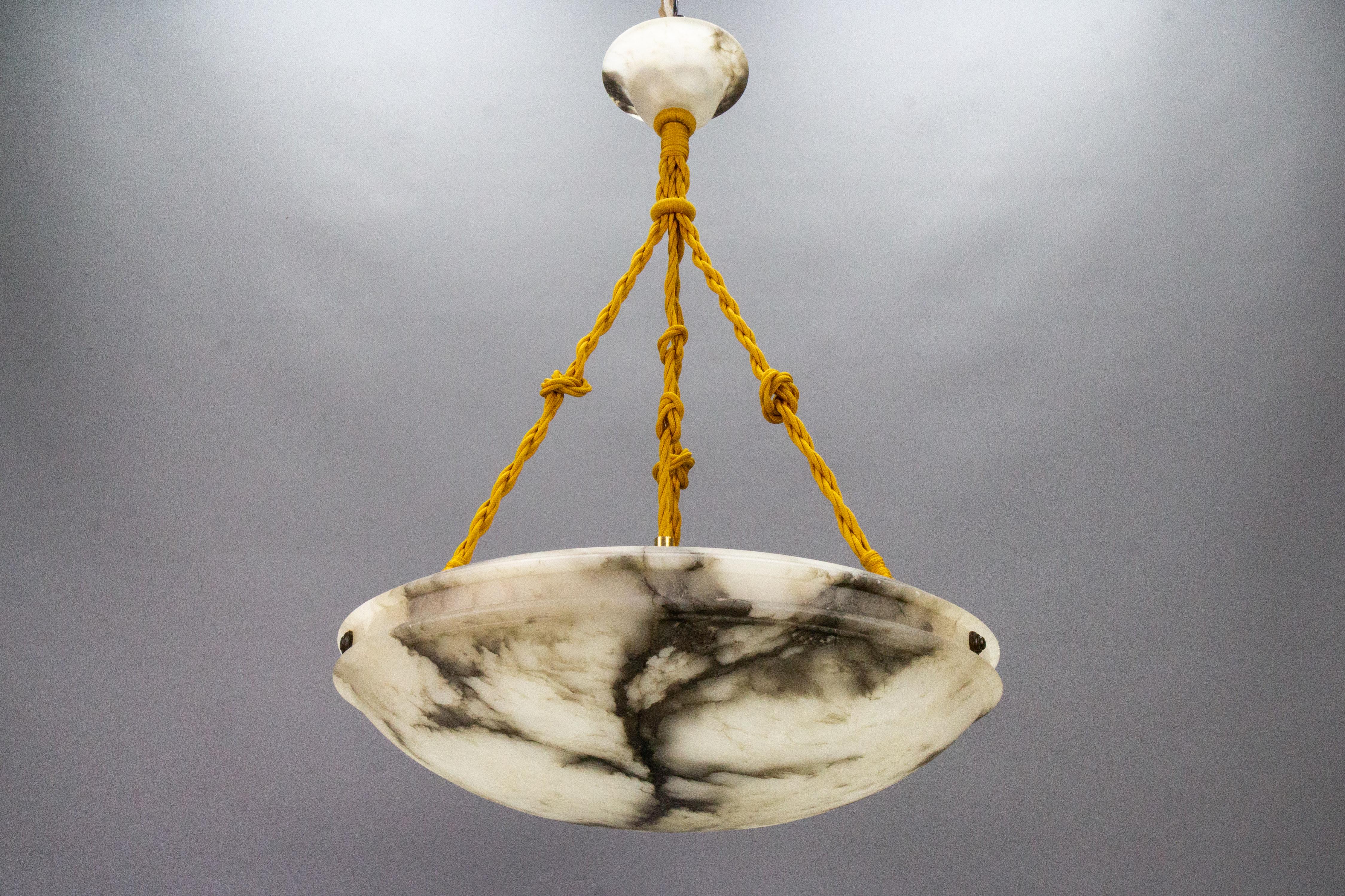 Art Nouveau Black Veined White Alabaster Pendant Light Fixture, ca. 1920 4