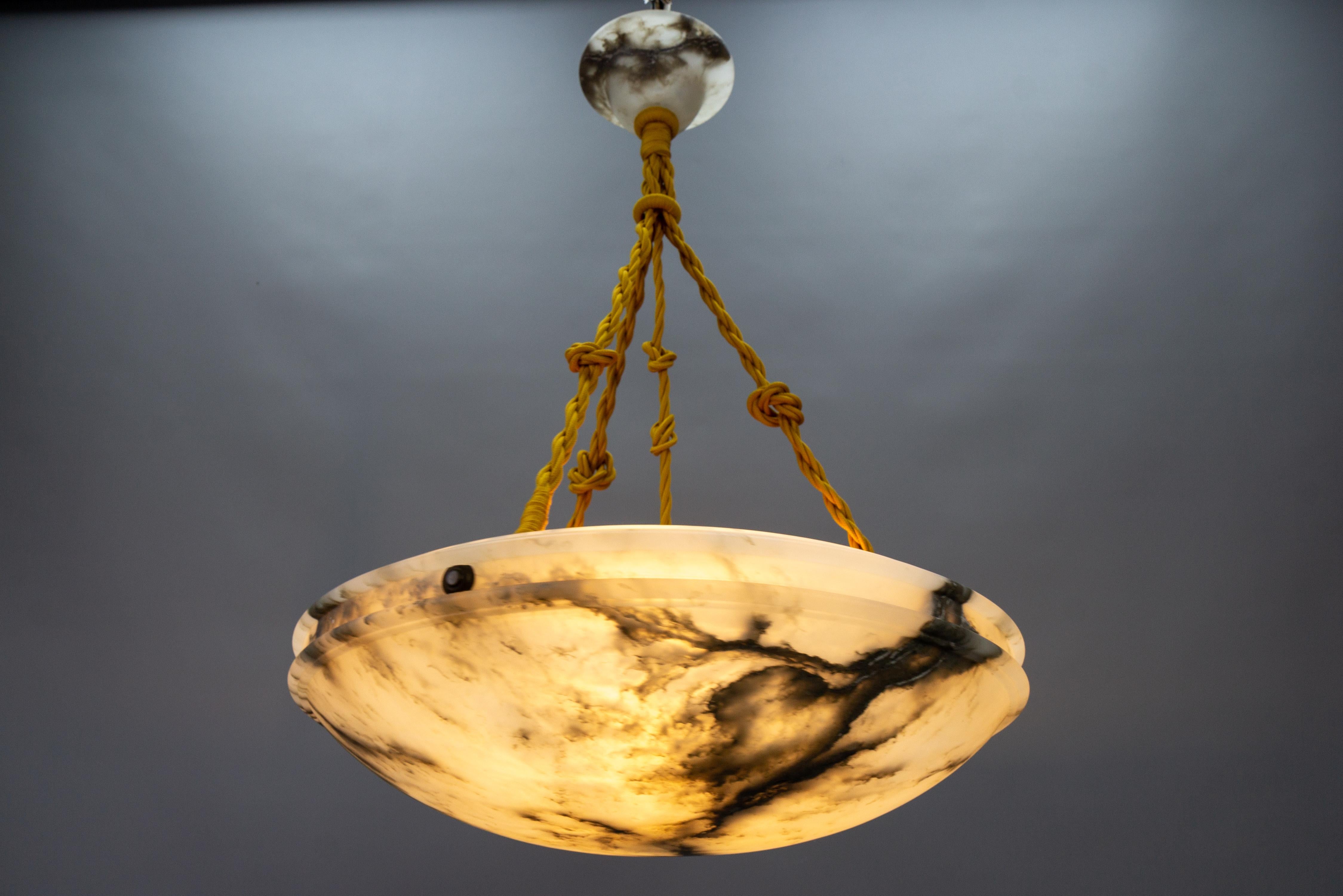 Art Nouveau Black Veined White Alabaster Pendant Light Fixture, ca. 1920 8