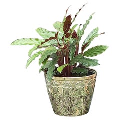 Maceteros, Cachepots y Jardineras