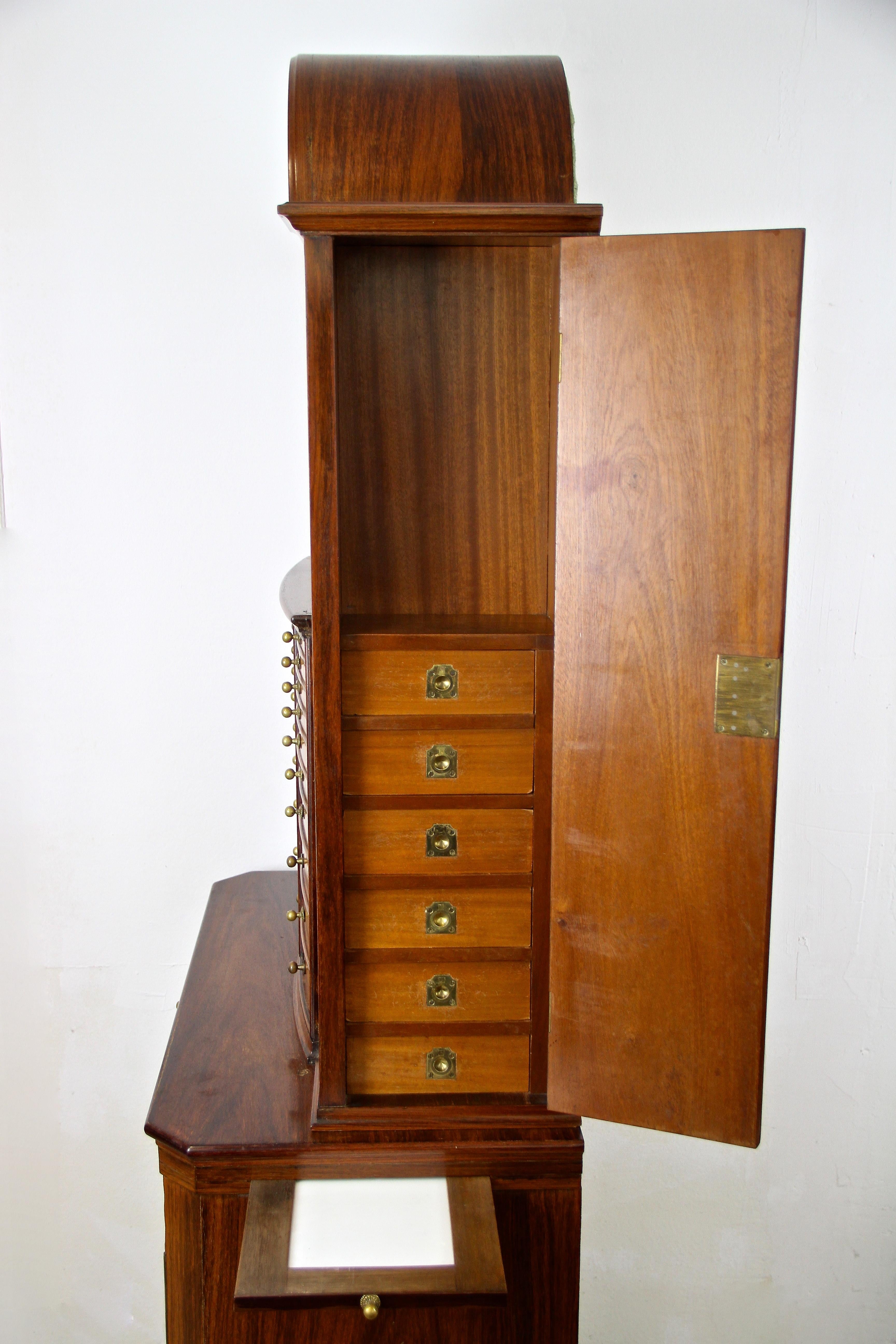 Art Nouveau Buffet/ Cabinet by A. Pospischil, Vienna, circa 1910 7