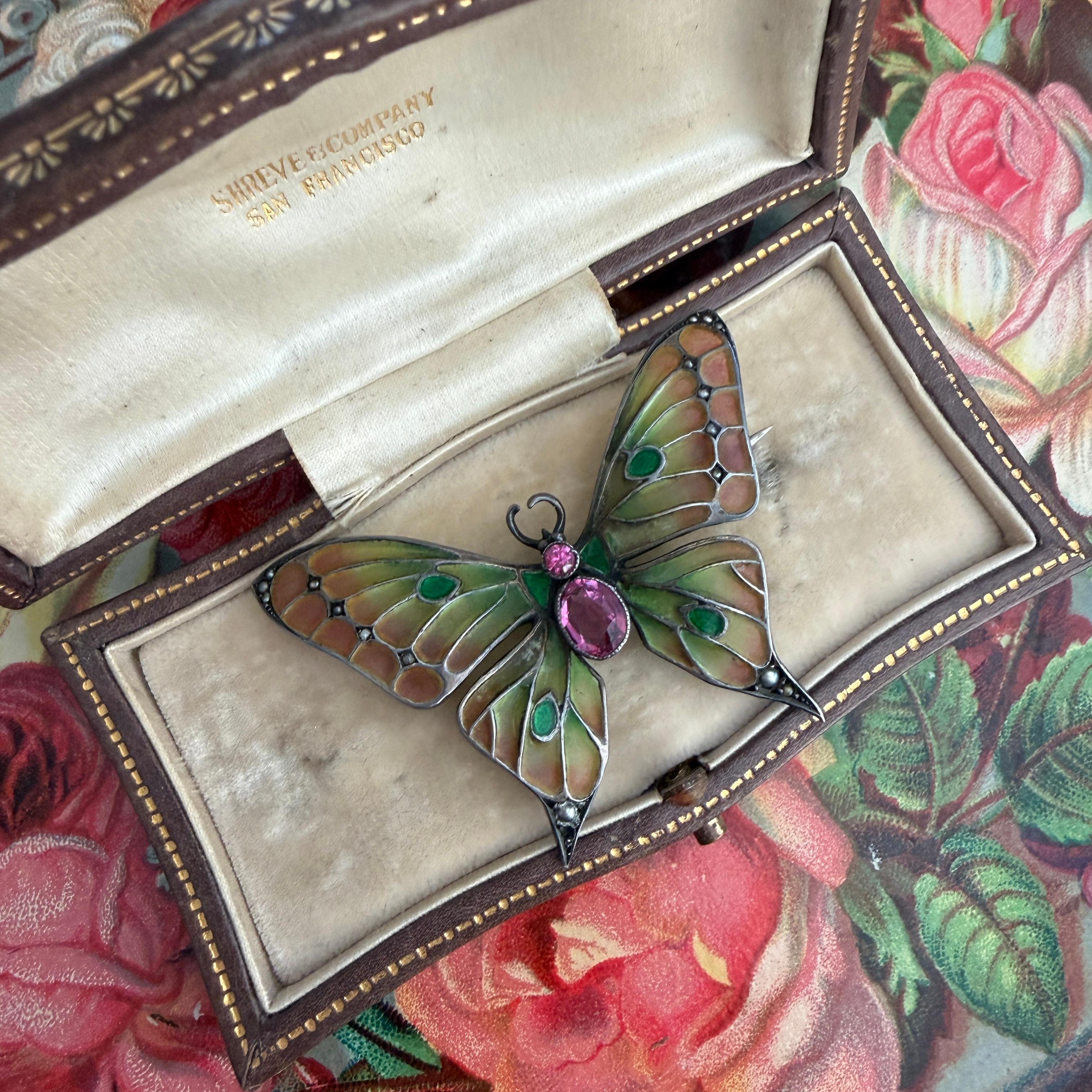 Art Nouveau Butterfly Brooch Plique-a-Jour by Meyle & Mayer For Sale 3