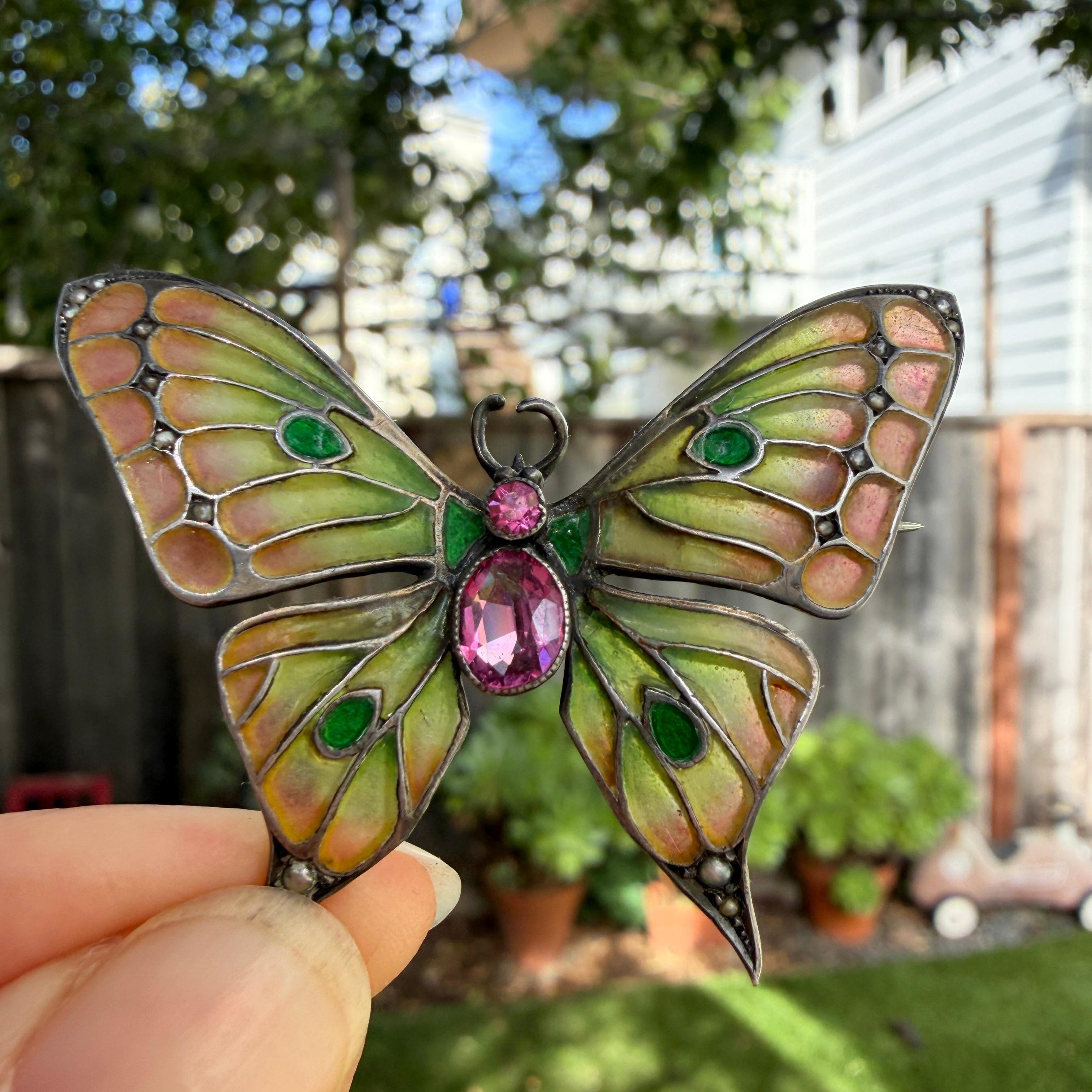 Art Nouveau Butterfly Brooch Plique-a-Jour by Meyle & Mayer For Sale 4