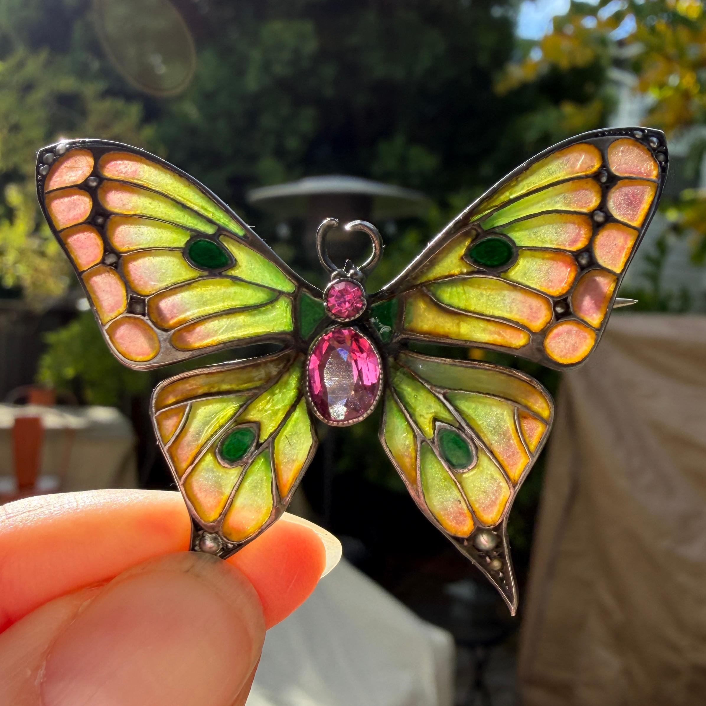 Art Nouveau Butterfly Brooch Plique-a-Jour by Meyle & Mayer For Sale 5