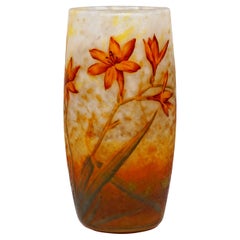 Art Nouveau Cameo Vase with Daylily Decor, Daum Nancy, France, 1900/05