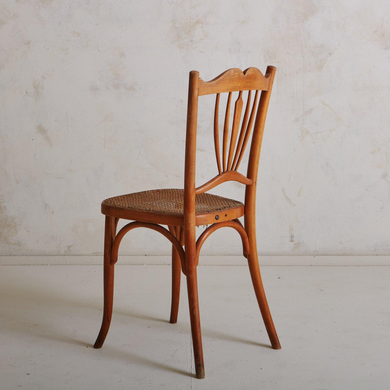 Art Nouveau Caned Chair Attributed to Fischel, France 1900s 3