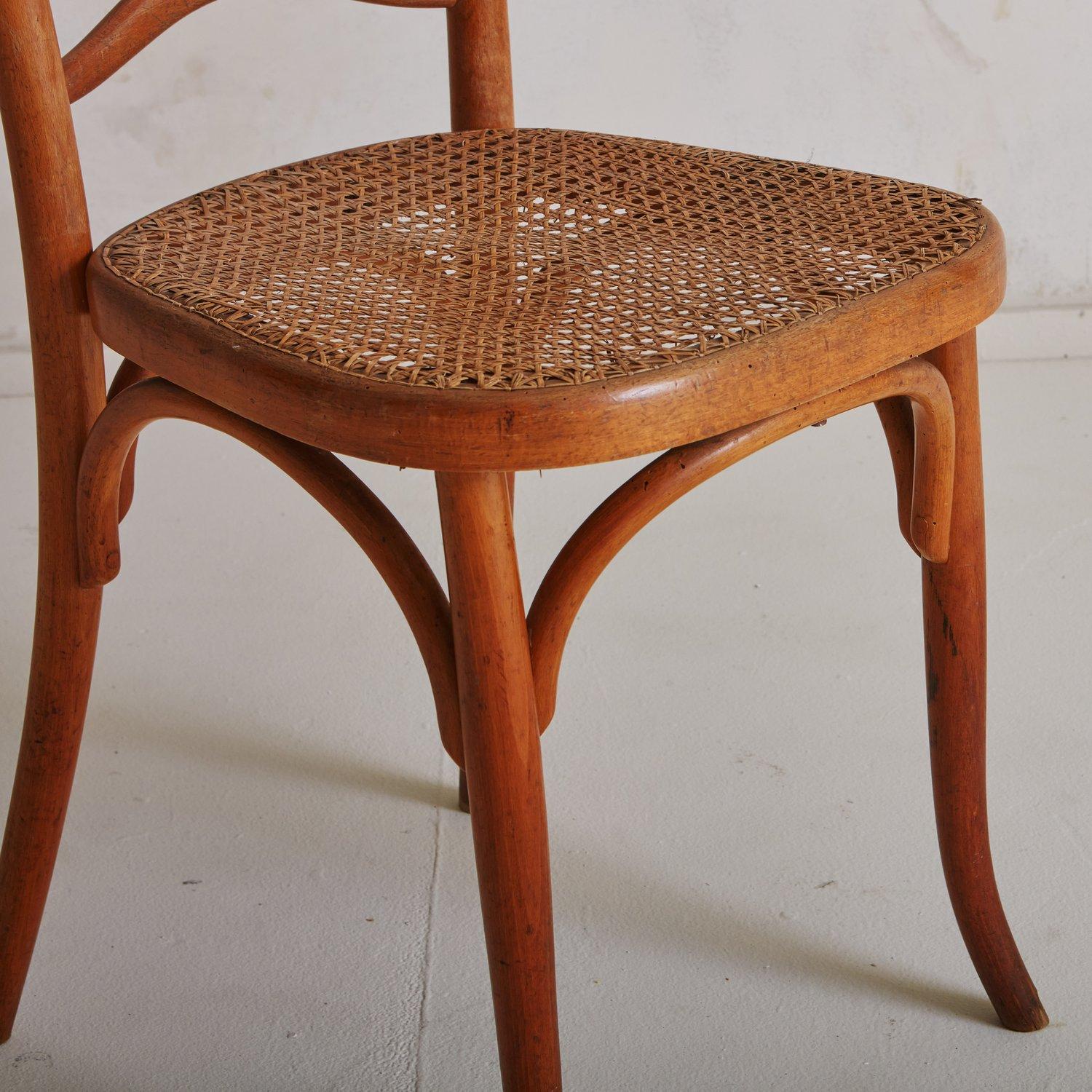 Art Nouveau Caned Chair Attributed to Fischel, France 1900s 4