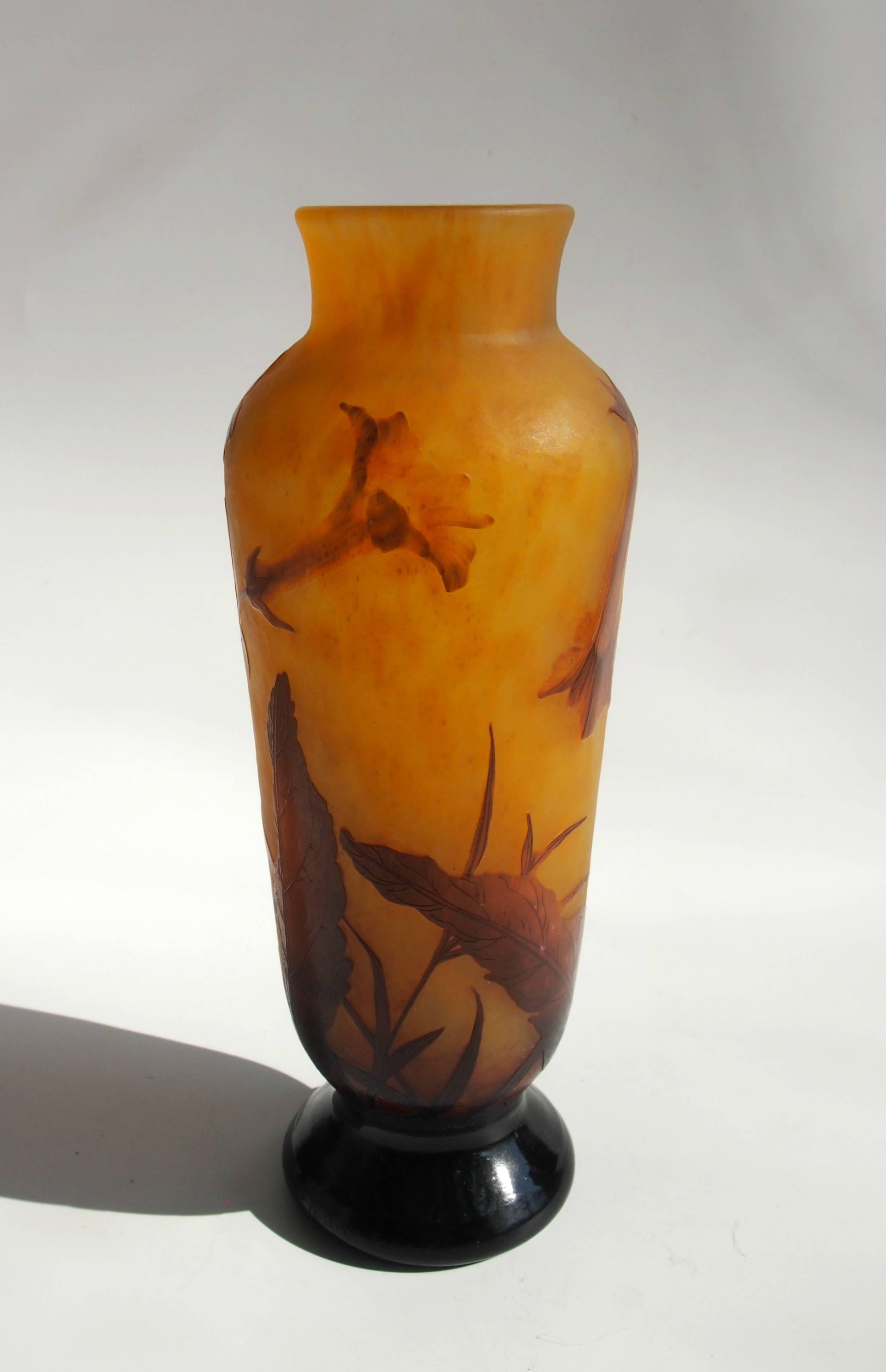Vase Daum en camée classique et sculpté Art Nouveau représentant la plante en fleur Nicotiana (Tabac) dans un brun sur orange très inhabituel. Daum n'a utilisé la technique de sculpture que sur quelques vases - elle prenait beaucoup plus de temps
