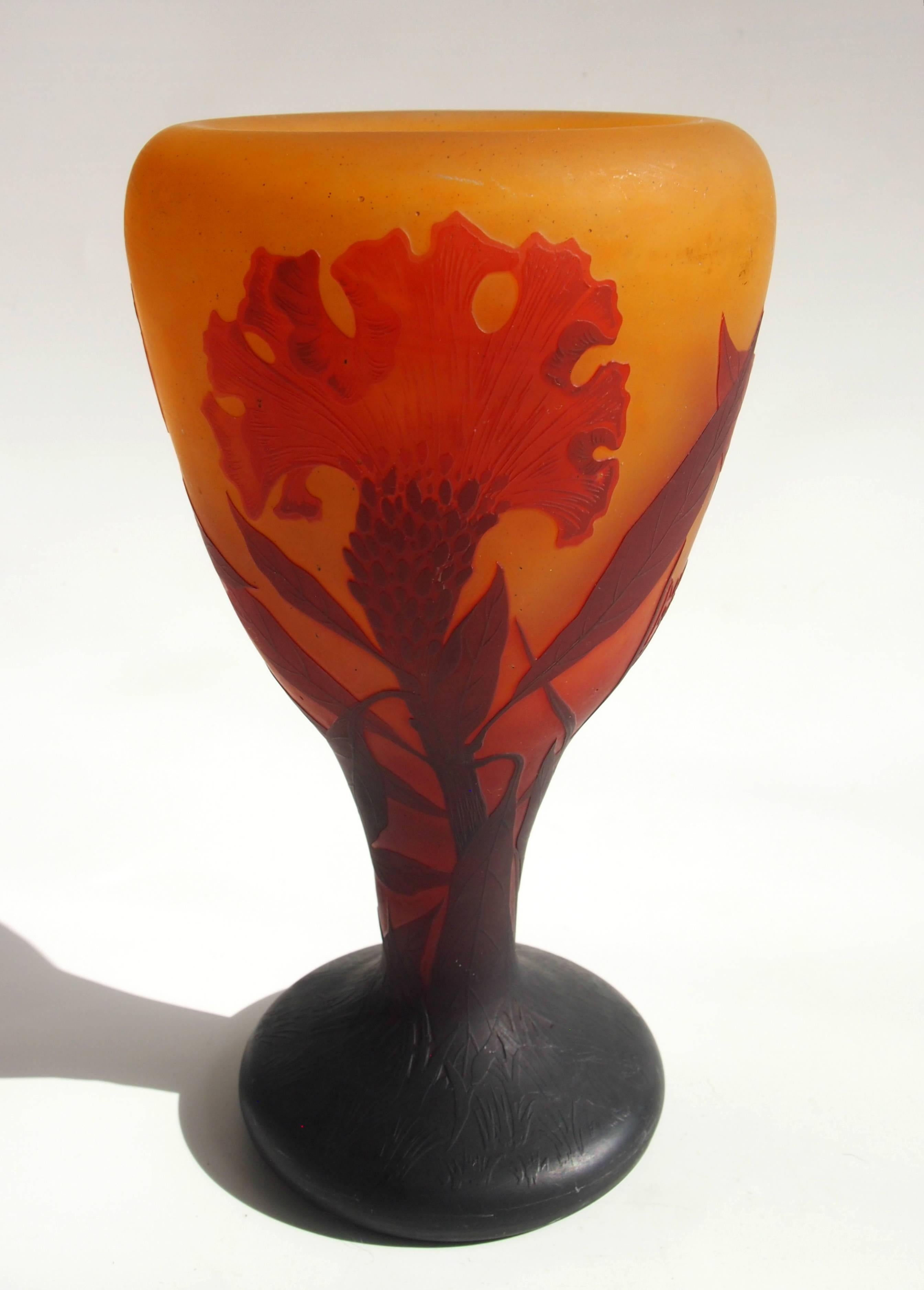 Art Nouveau Daum medium large classic cameo vase depicting the cockscomb plant in black over red over a mottled yellow layer. Much of the black layer has fine 'blind' detailing (see image 7). Nicely signed in cameo Daum Nancy with a Cross of