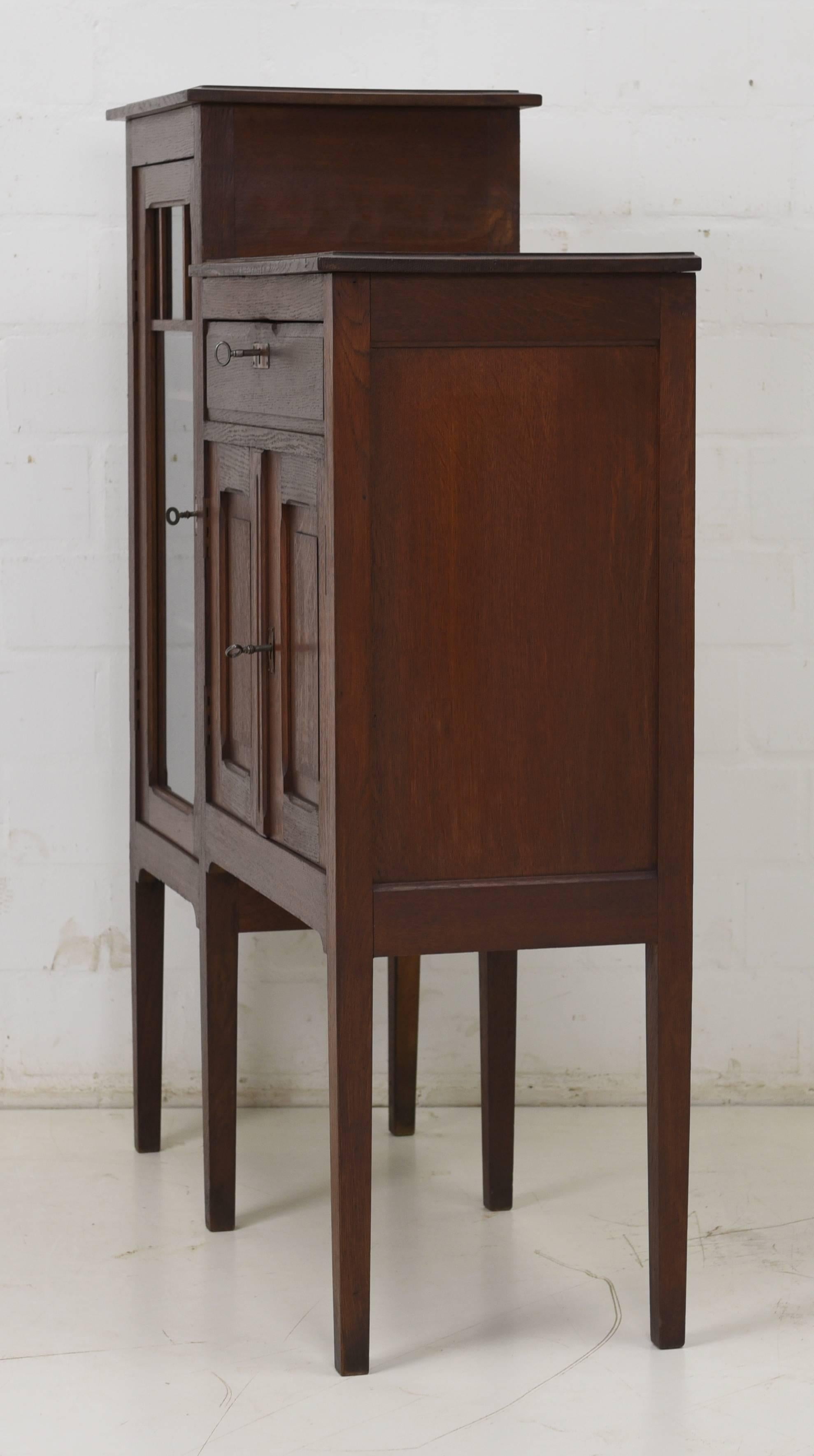 Early 20th Century Art Nouveau Display Cabinet, circa 1915