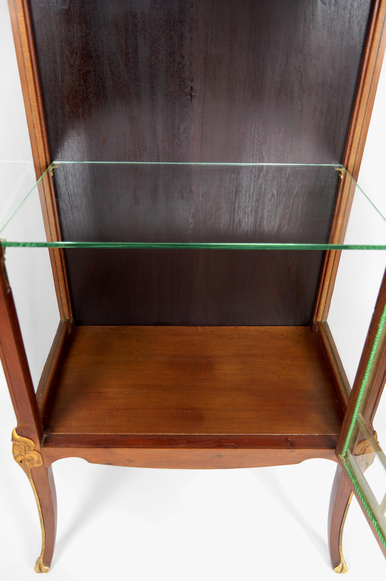 Métal Vitrine Art Nouveau, bronze doré sur le thème floral, France, vers 1900 en vente