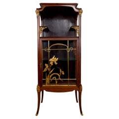 Vitrina Art Nouveau, Bronce dorado con tema floral, Francia, Circa 1900