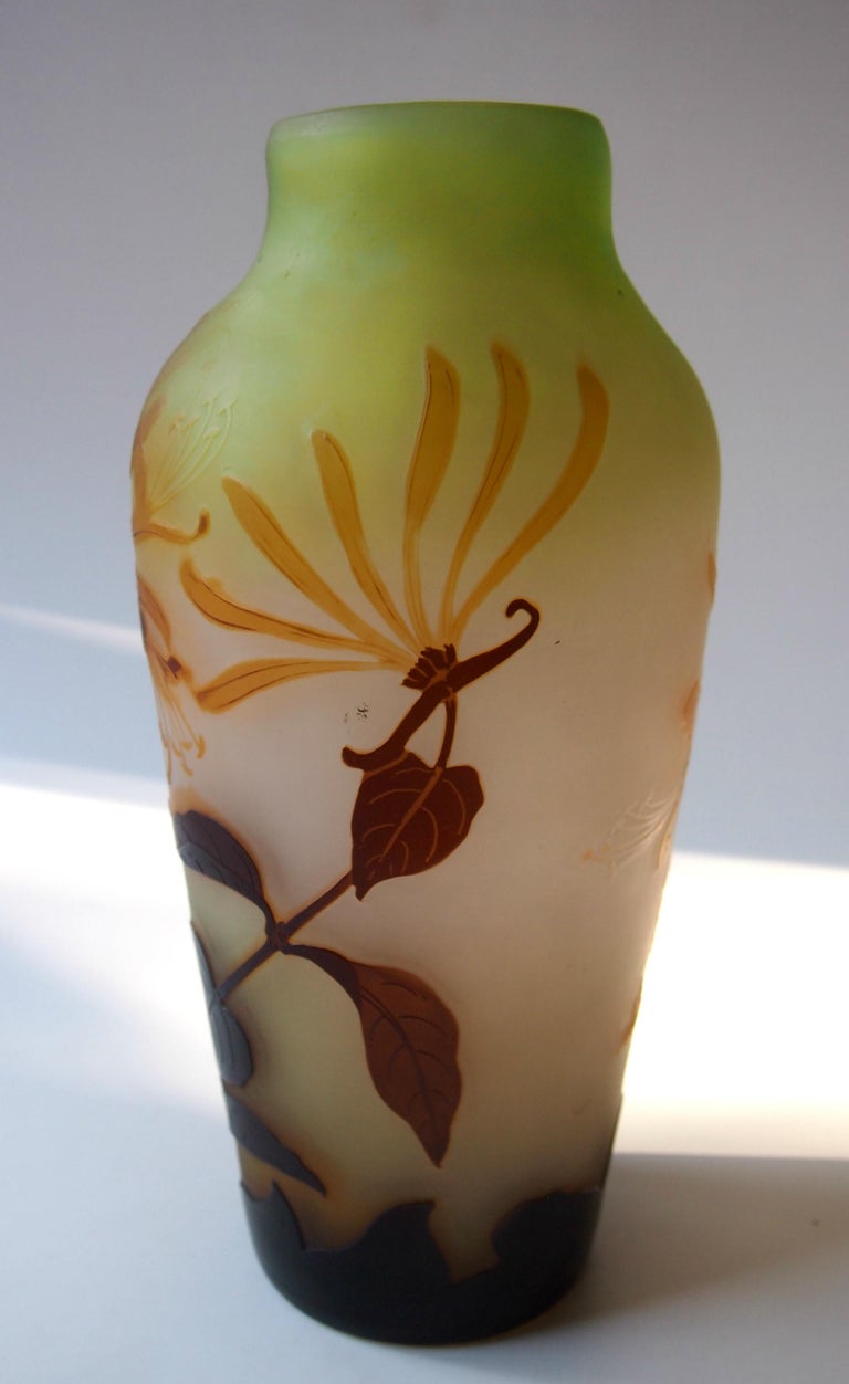A superb signed Art Nouveau Emile Galle cameo vase in dark brown over orange, over clear with green inside. Depicting spectacularly blooming honeysuckle a classic, but quite rare, image for Galle - signed in cameo. The balance of the three colours