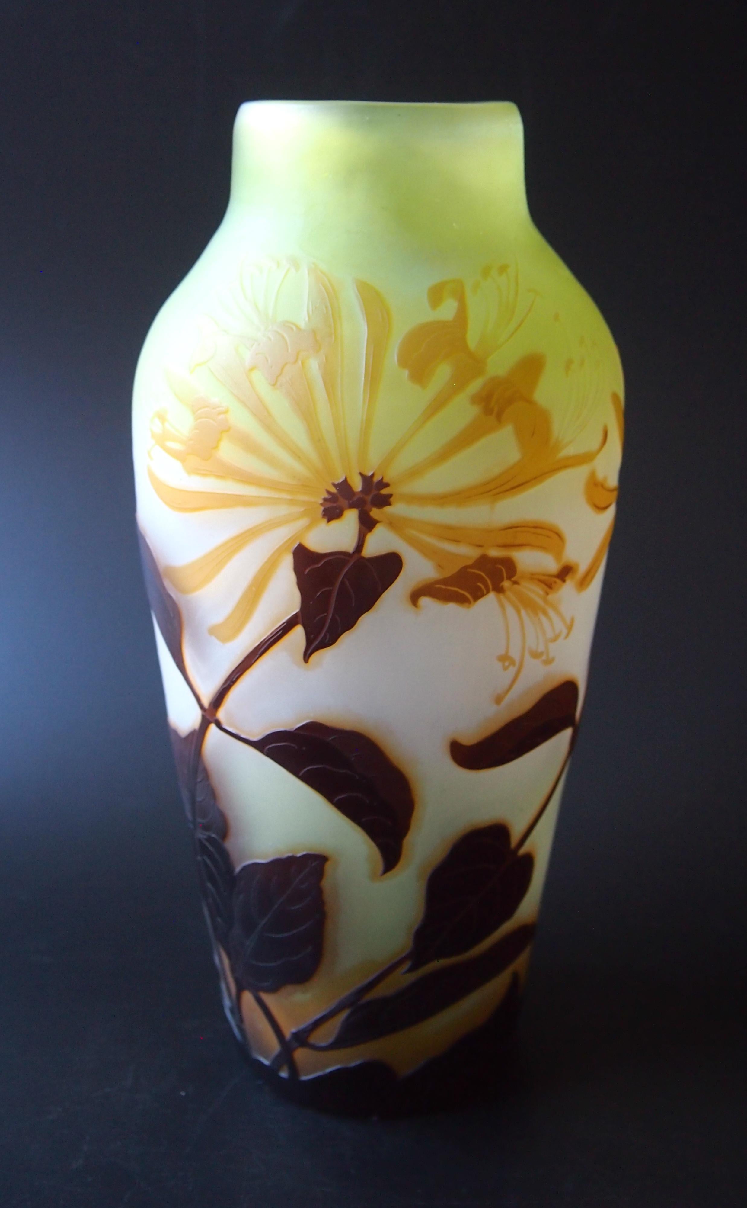 French Art Nouveau Emile Galle Cameo Glass Vase with Honeysuckle Signed, circa 1900 For Sale