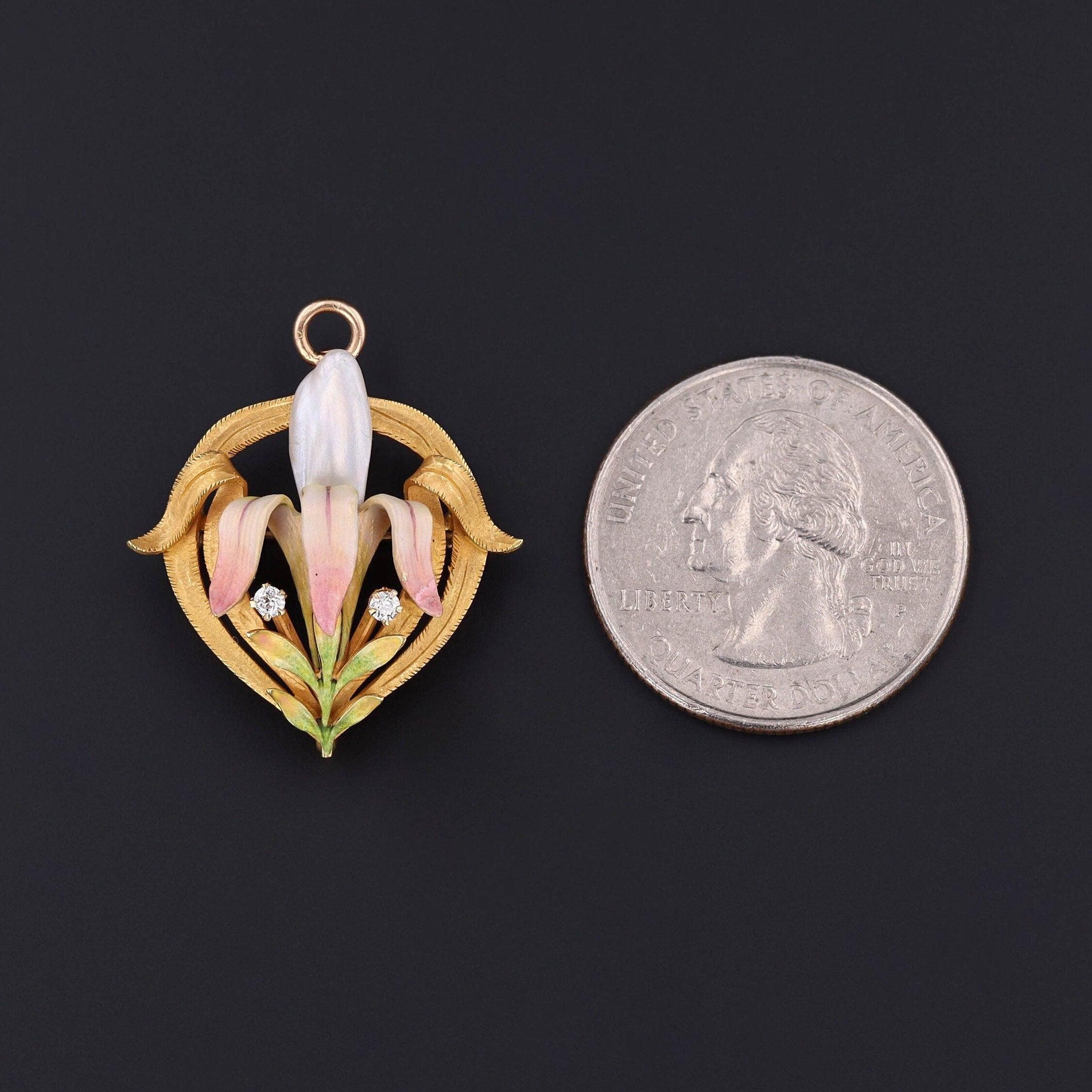 Iris, the Greek goddess of the rainbow, was said to bridge earth and heaven, and the flowers that now bear her name, were planted on graves to help her guide the souls to heaven.

This antique 14k gold brooch/pendant by the renowned Krementz & Co.