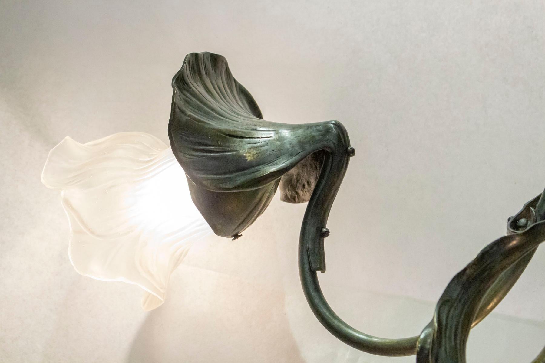 Art Nouveau Floral Chandelier, Designed by Jean Auguste Dampt, 1900 4