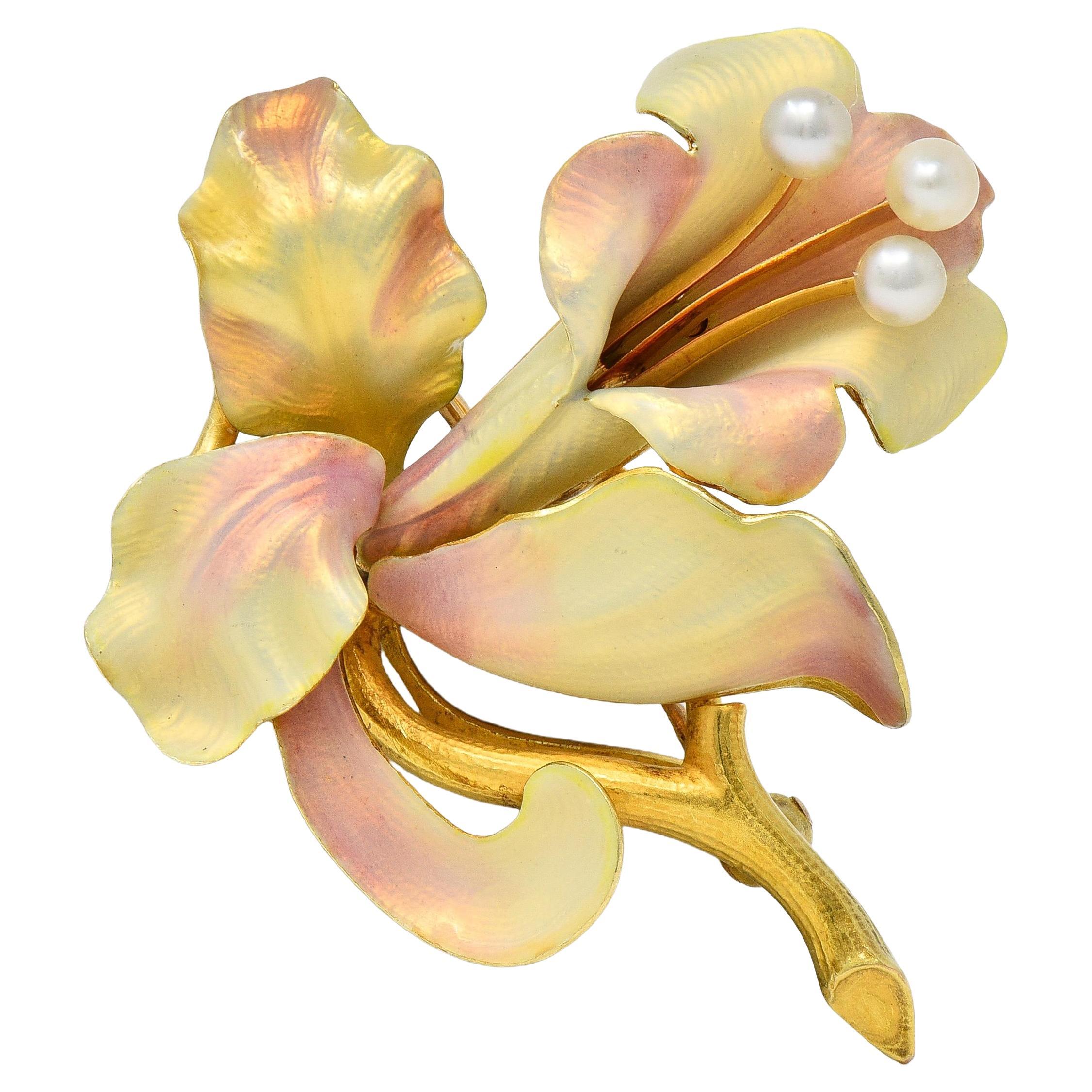 Art Nouveau Henry Blank
Co. Broche en émail 14K or jaune antique Bellflower