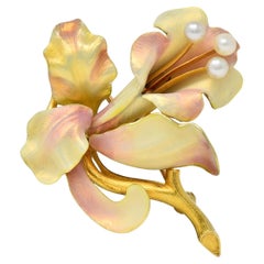 Art Nouveau Henry Blank & Co. Enamel 14K Yellow Gold Antique Bellflower Brooch
