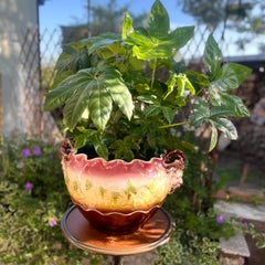 Art Nouveau Large Majolica Vase, Whit Sarreguemines Stamp