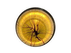 Art Nouveau, Liberty Hanging Lamp in silver-plated bronze and glass, 1900