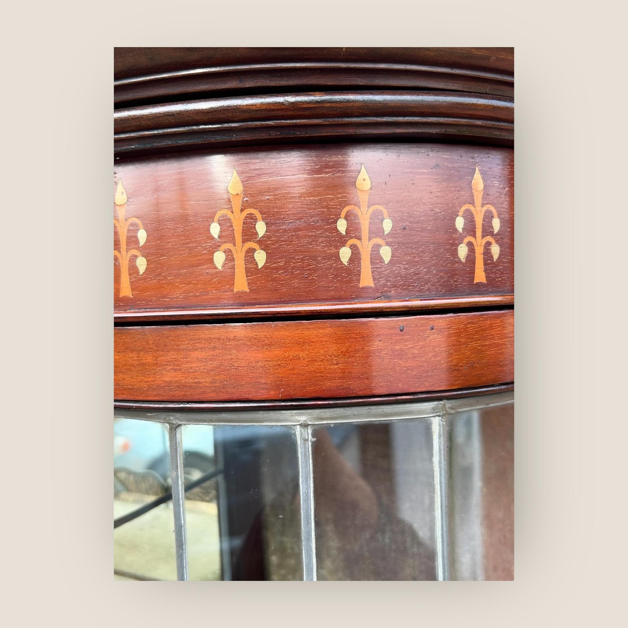 Art Nouveau Mahogany Display Cabinet For Sale 1