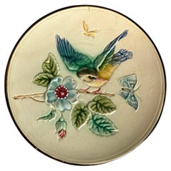 Ceramica