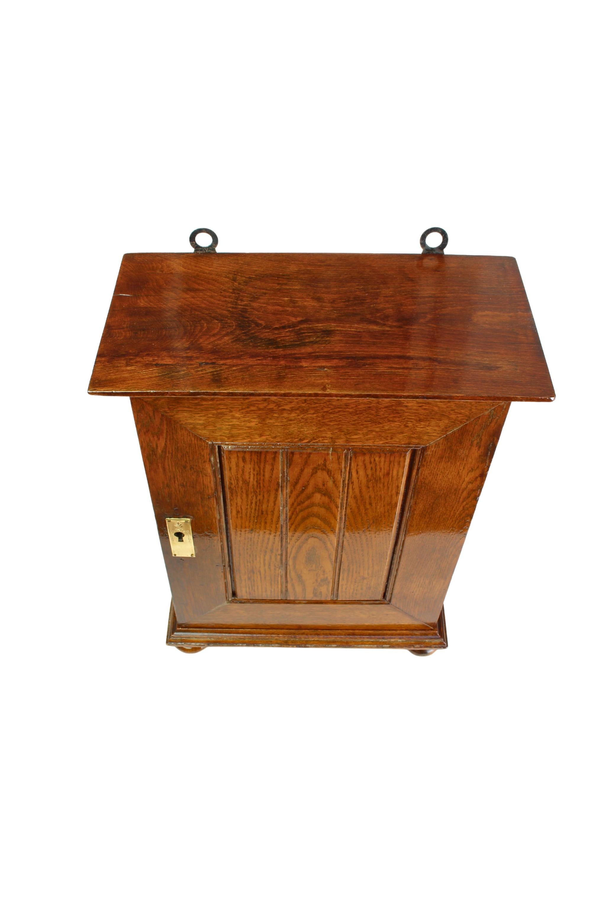 Art Nouveau Oak Apothecary Wall Cabinet, Germany circa 1900 For Sale 5
