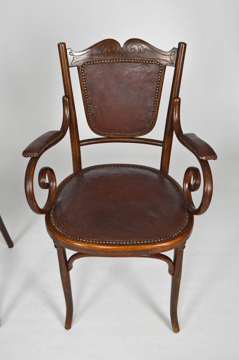 Art Nouveau Salon Set in Bentwood and Leather, by Fischel, circa 1910