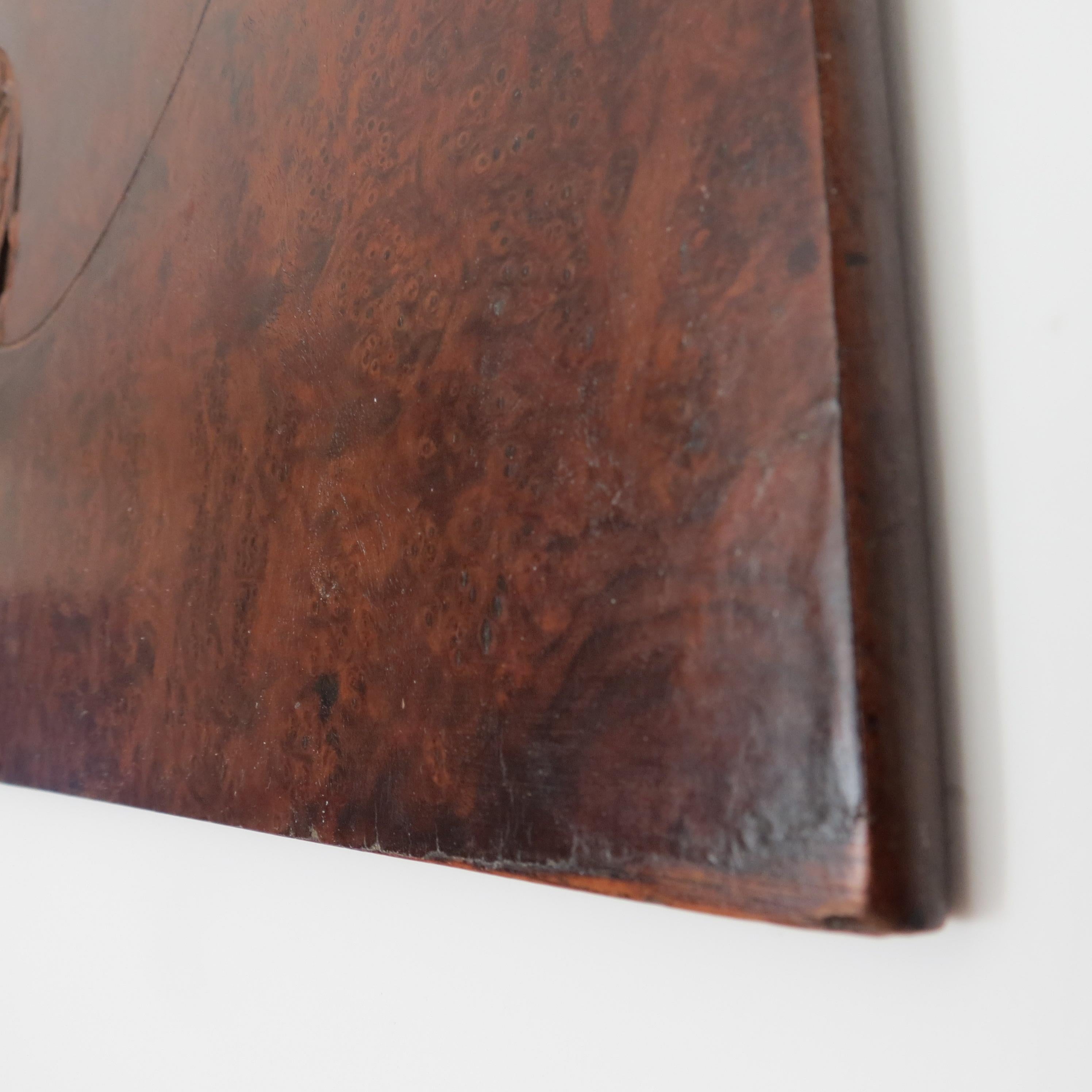 Art Nouveau Secessionist geschnitzt Burr Walnut Holz Wand hängend 1900 (Walnuss) im Angebot