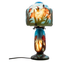 Art Nouveau Table Lamp Blue Amber Brown Floral Print Glass, France