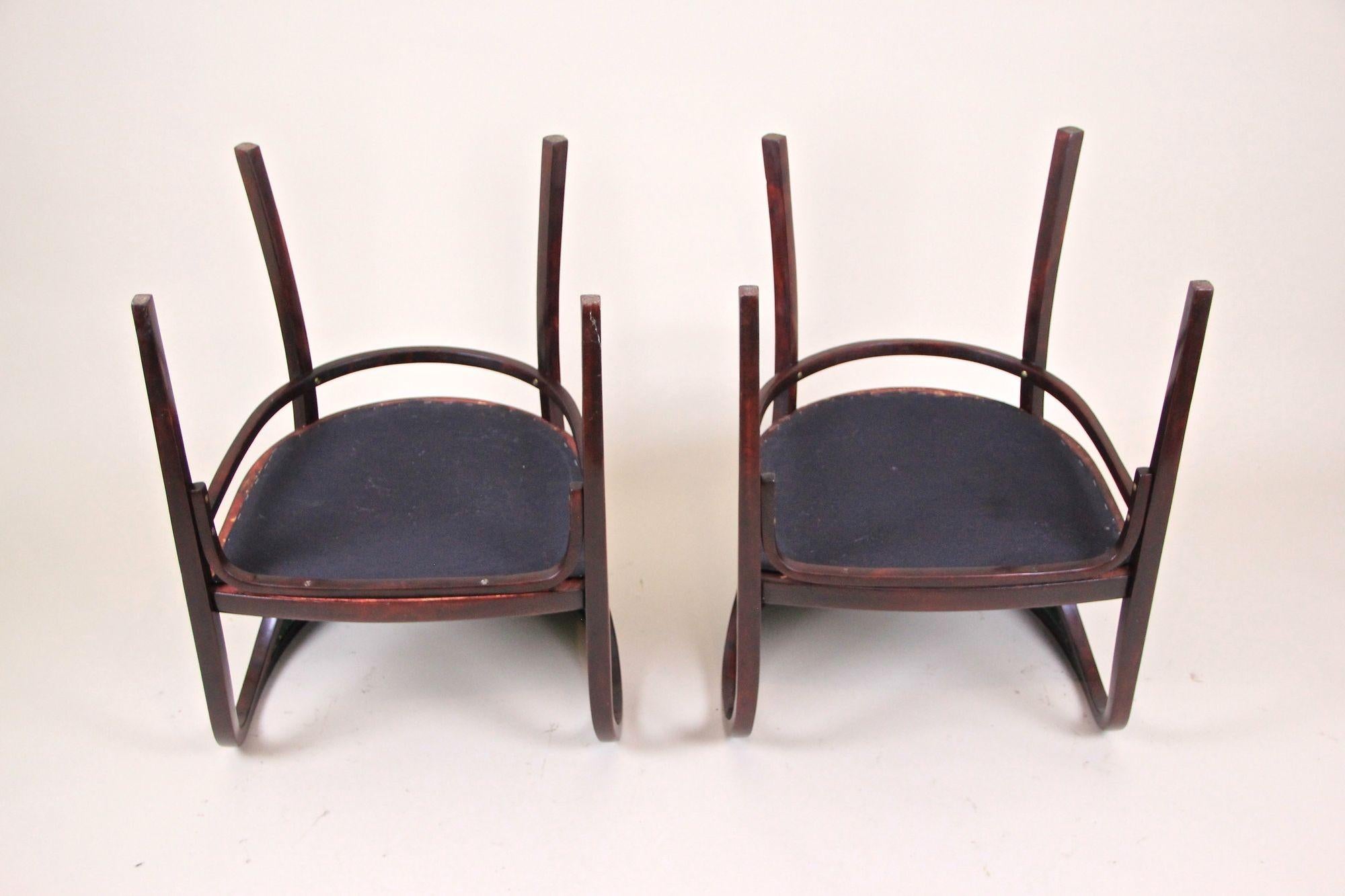 Suite de sièges et de salon Art Nouveau Thonet Bentwood de M. Kammerer, AT, vers 1910 en vente 2