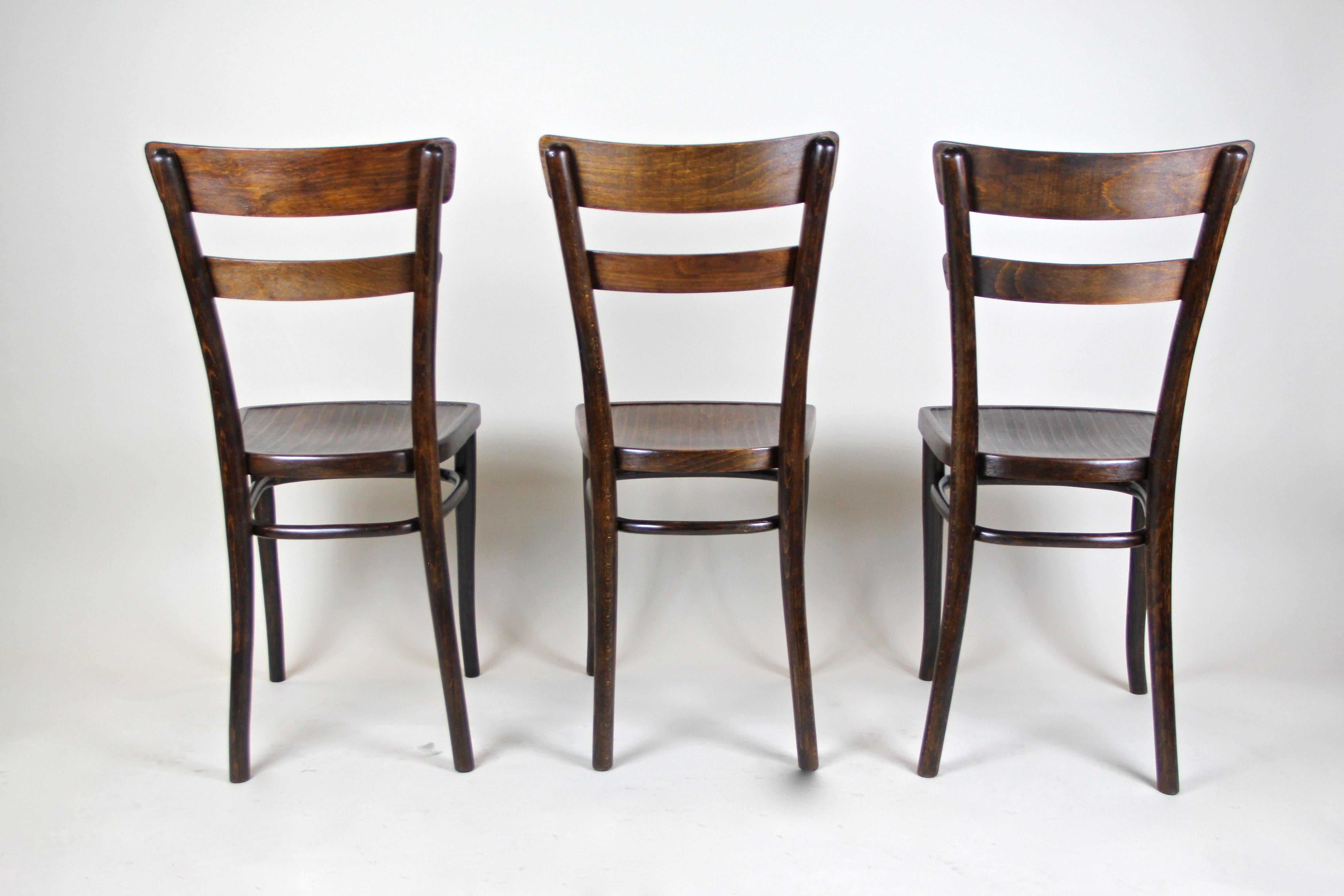 Art Nouveau Thonet Chairs Bentwood Set of Three, Austria, circa 1905 For Sale 5