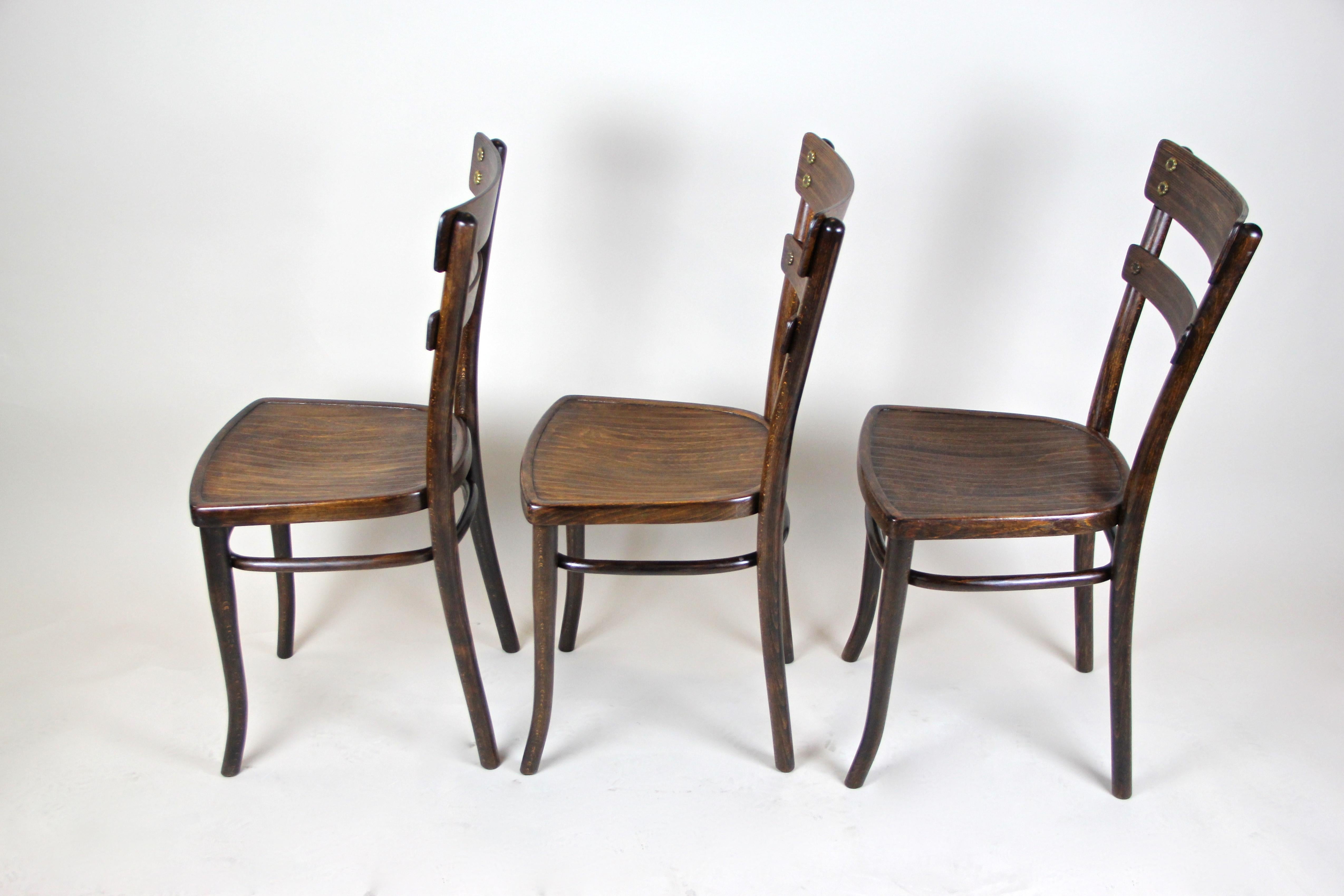 Art Nouveau Thonet Chairs Bentwood Set of Three, Austria, circa 1905 For Sale 4