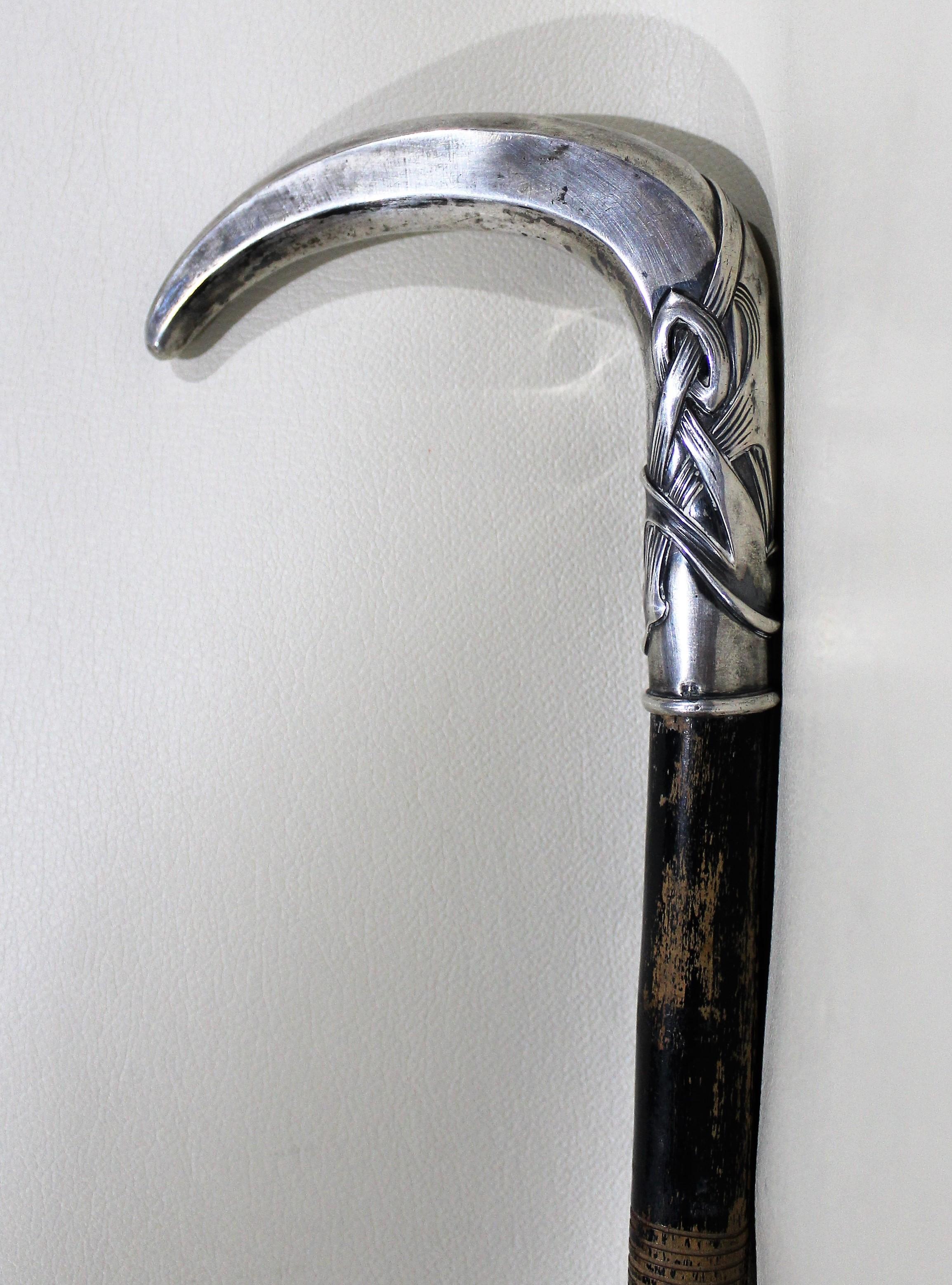 silver handle cane