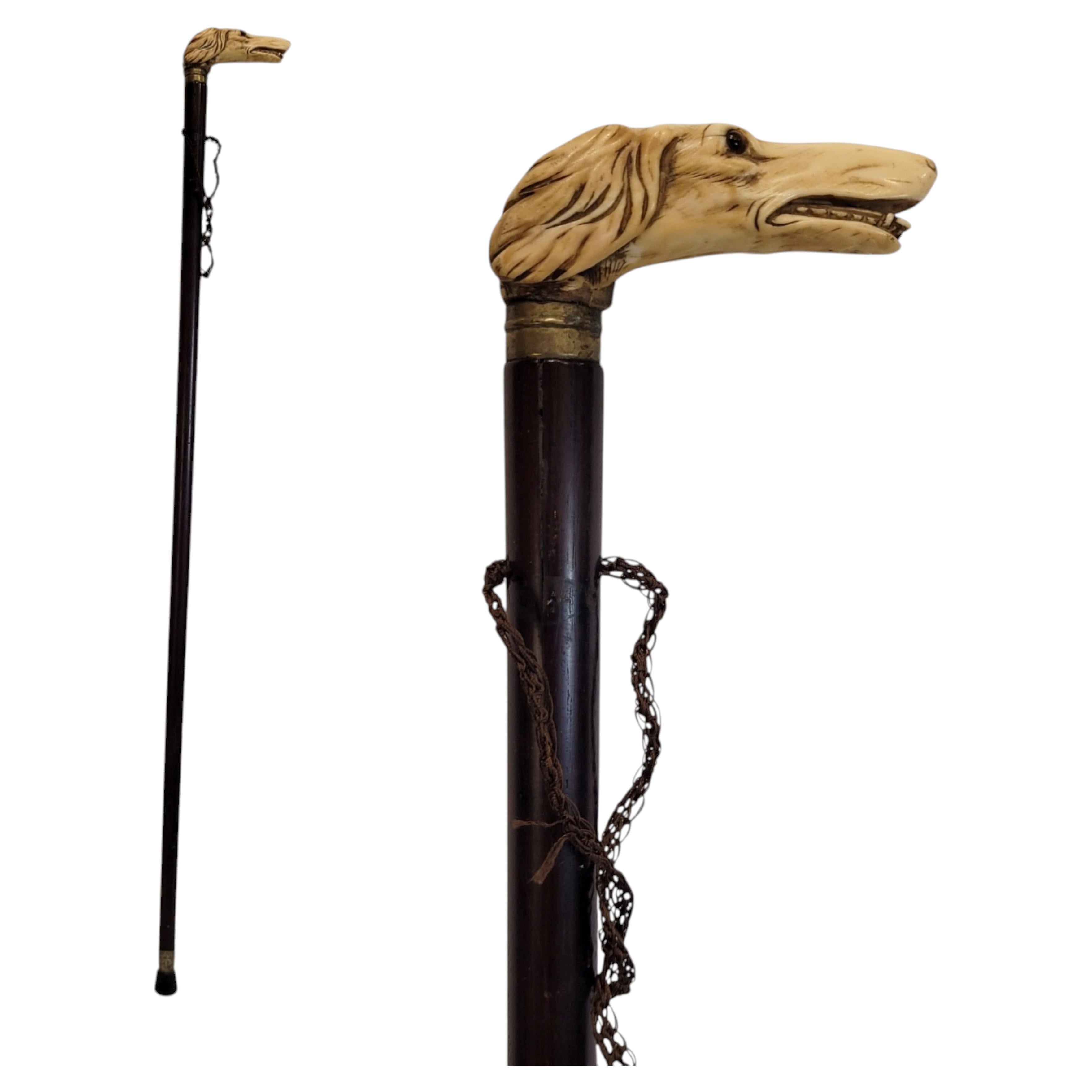 Art Nouveau walking stick with greyhound bust handle, bull bone and wood, France