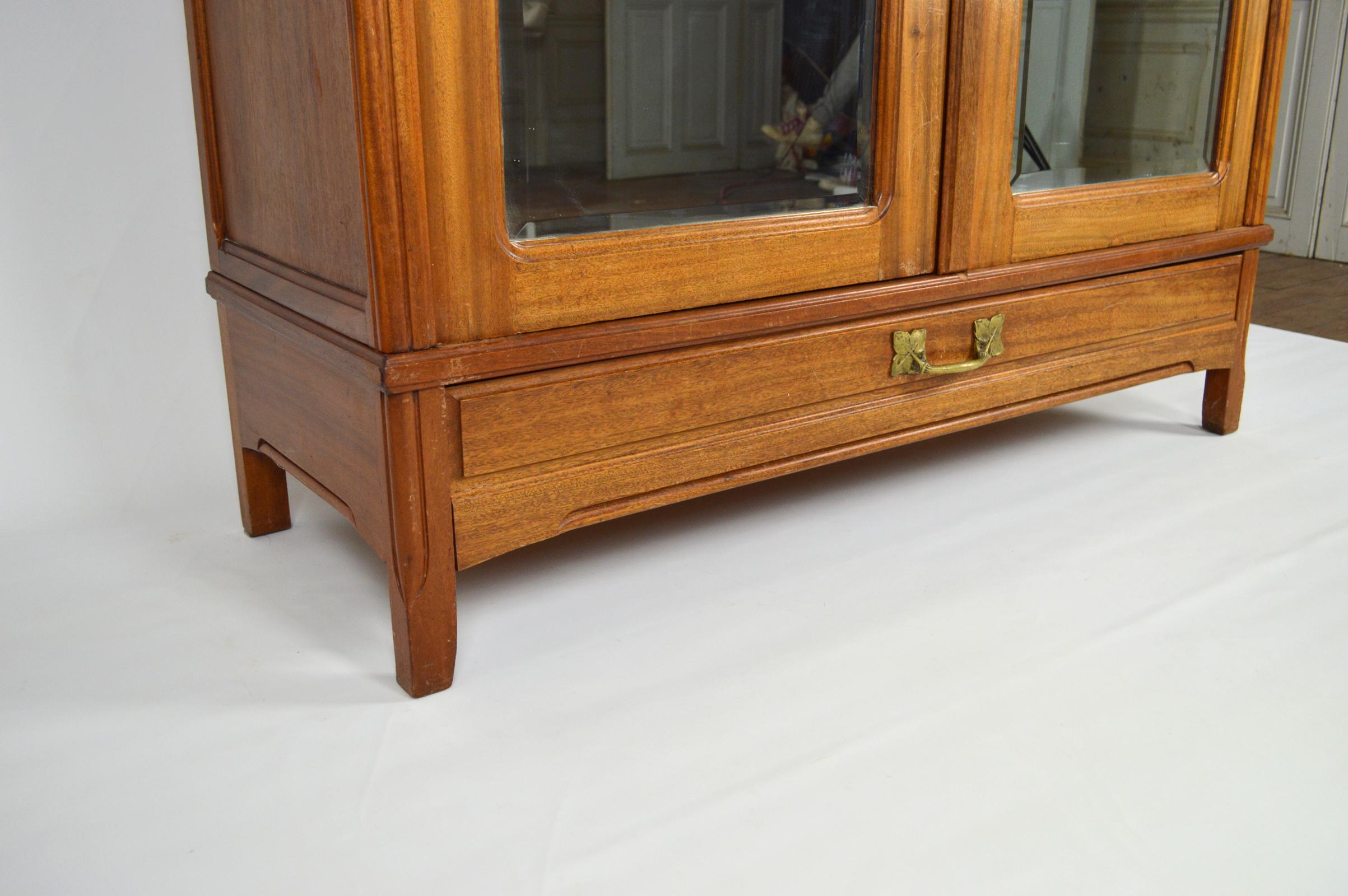 Art Nouveau Wardrobe by Mathieu Gallerey in Mahogany, Clematis model, circa 1920 For Sale 3