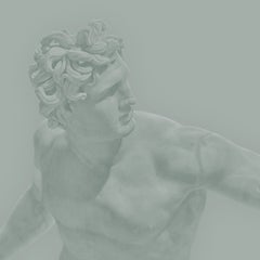 Art photos - Iconic Beauty #5 - 150x150cm - Unframed