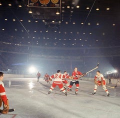 Bobby Hull, Stanley Cup Playoffs, 1966