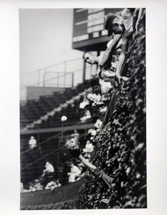 Catcher in the Vines, 1961, Wrigley Field, Chicago, Archival Pigment Print