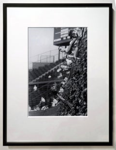 Catcher in the Vines, 1961, Wrigley Field, Chicago, Archival Pigment Print