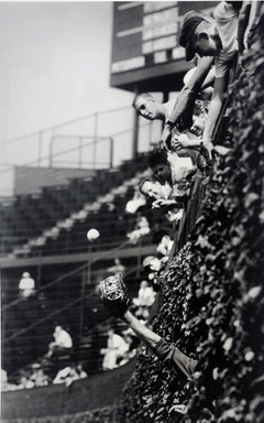 Vintage Catcher in the Vines, 1961, Wrigley Field, Chicago, Archival Pigment Print