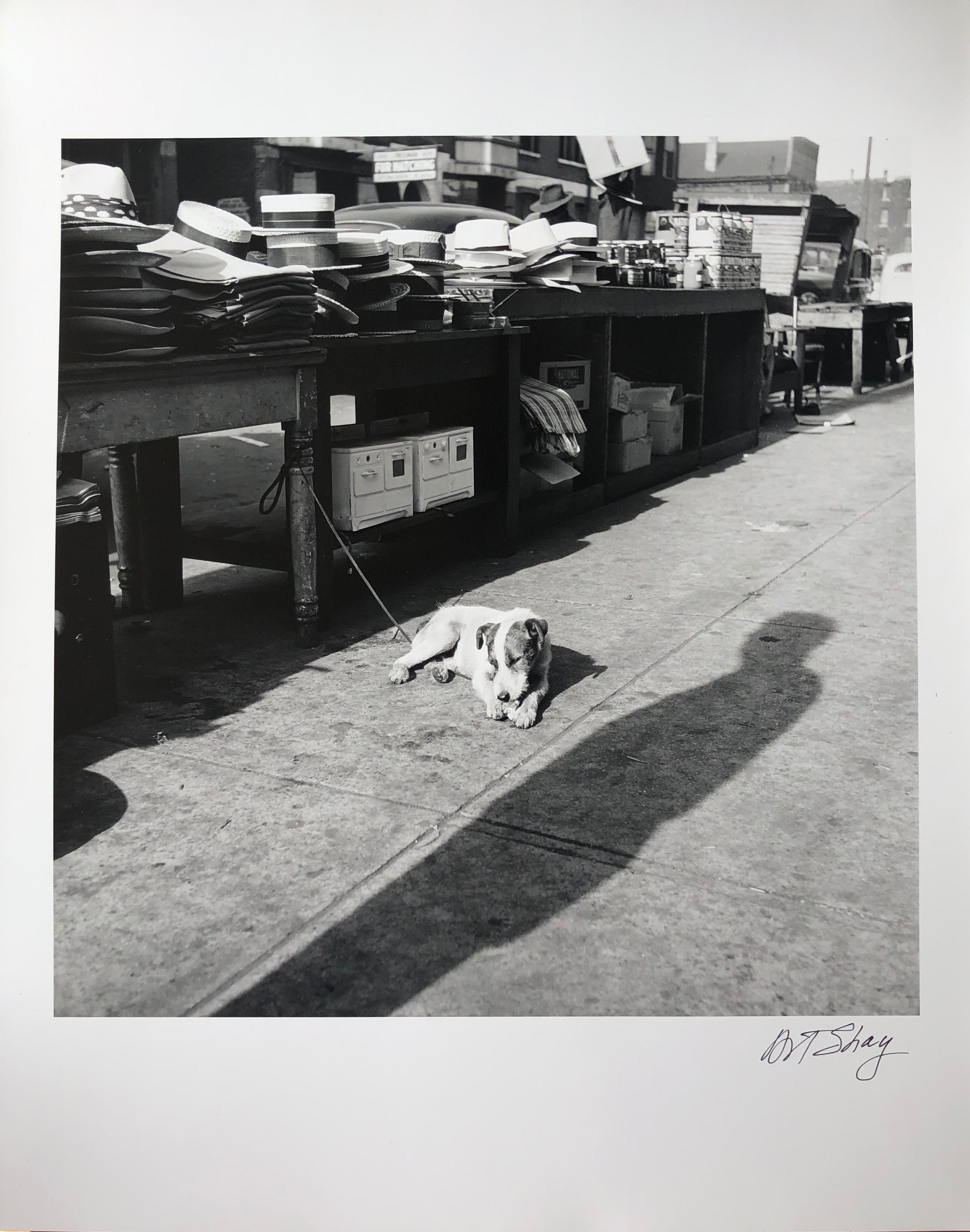 L'amour d'Art Shay pour la photographie de rue est évident dans cette photographie de 1953 intitulée "Maxwell Street Dog".  Tradition de Chicago depuis une centaine d'années, le marché de la rue Maxwell était (et est toujours) un lieu où l'on trouve