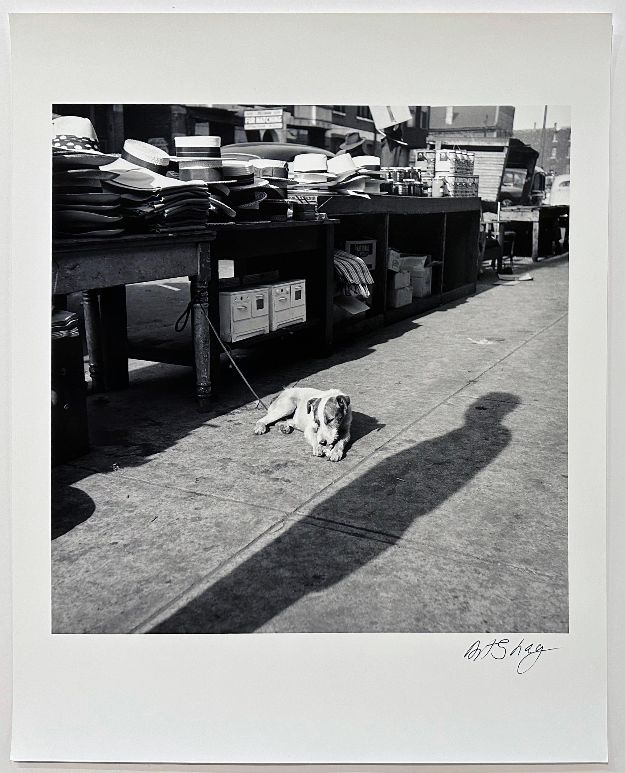 Art Shay Black and White Photograph – Maxwell Street Dog ca. 1949, Foto signiert