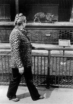 Two Leopards Spotted, Chicago 1974, Brookfield Zoo, Signed and Framed.