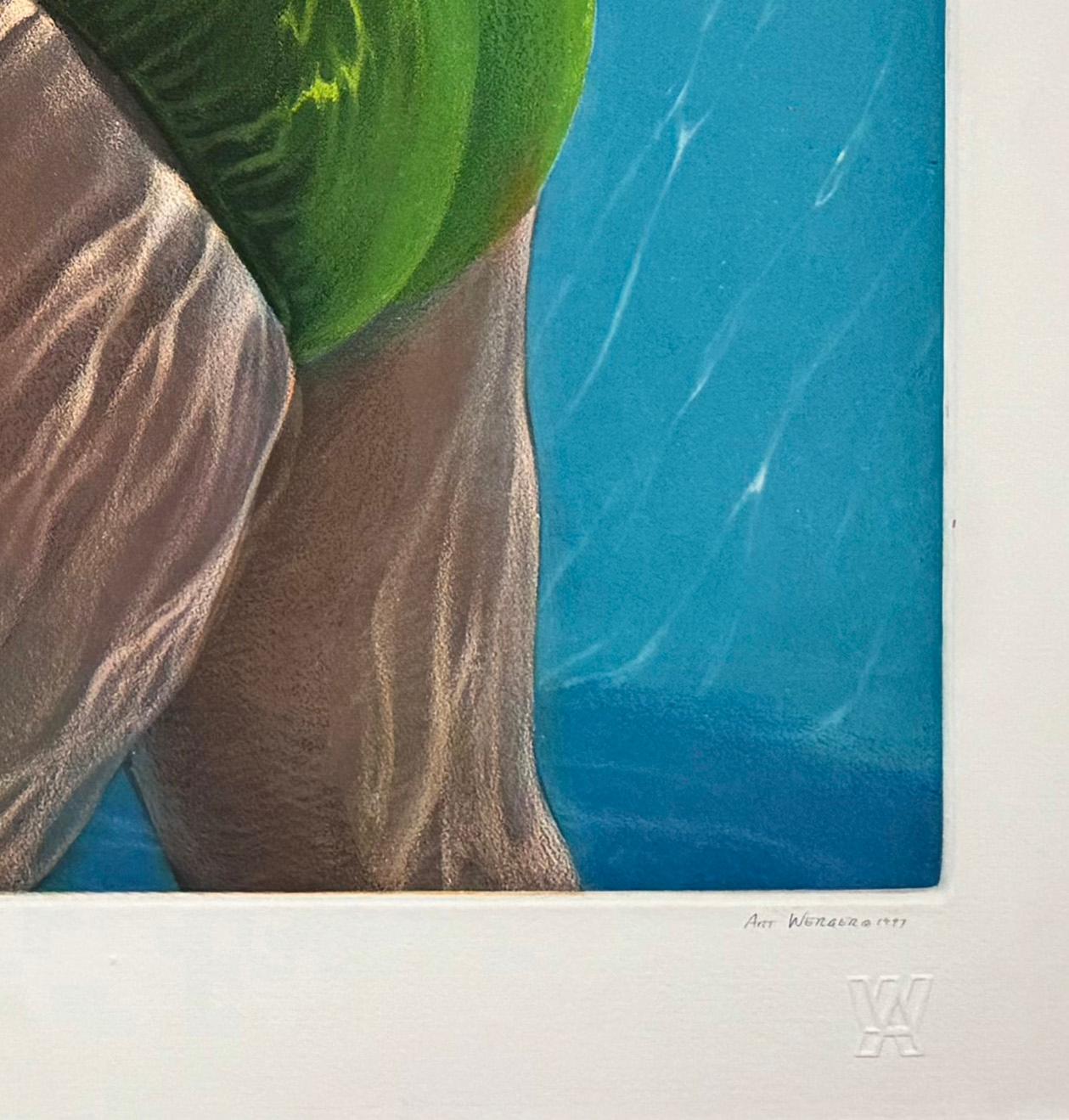 Sotto la superficie: Dissolvi, di Art Werger in vendita 4