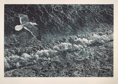 Clarity, von Art Werger