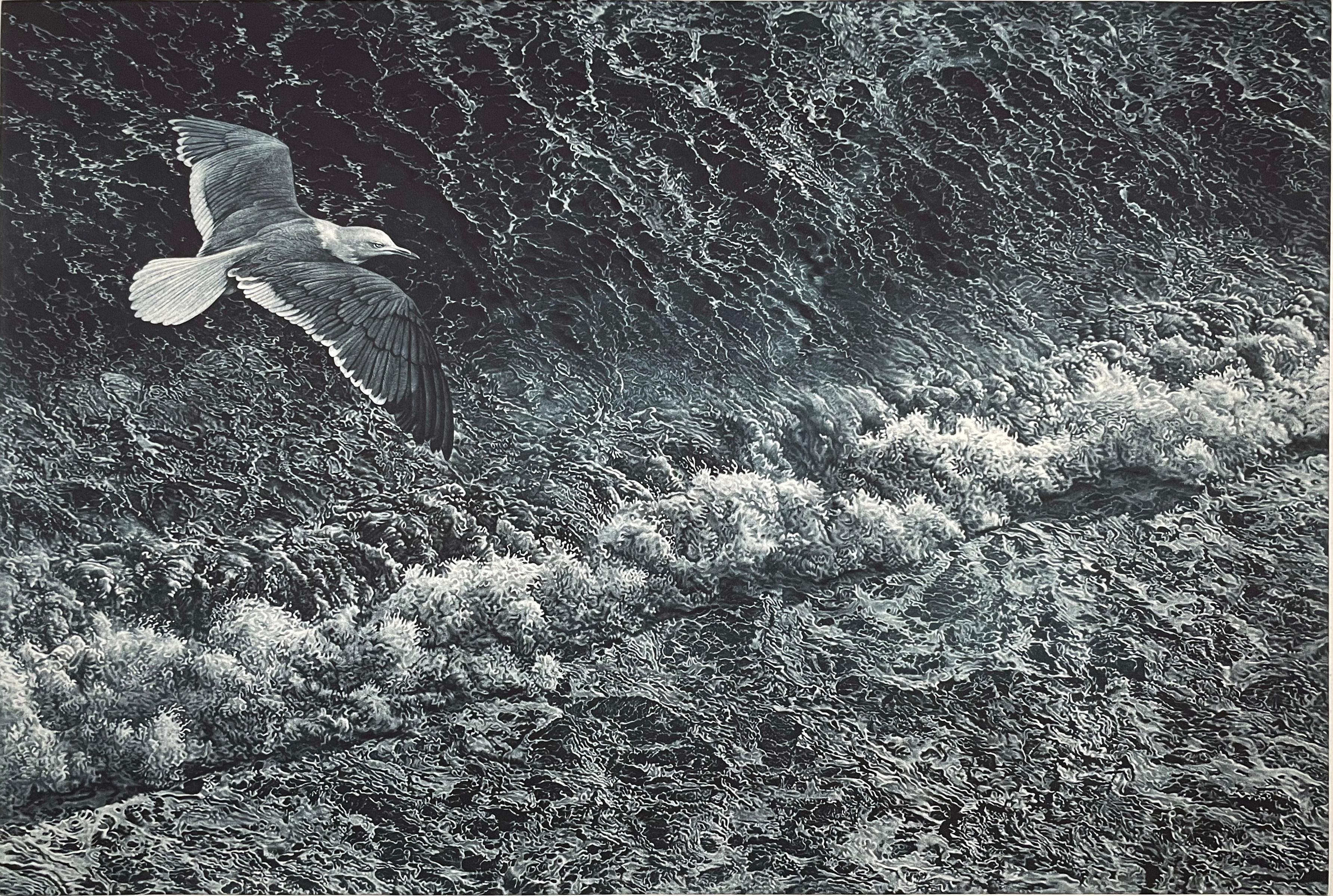 Medium: Etching with aquatint
Year: 2021
Edition: 45
Image Size: 35.5 x 23.75 inches

A Birds-eye view of a sea gull sailing over the California surf.

Werger has received over 250 awards in national and international exhibitions. In 2015 he