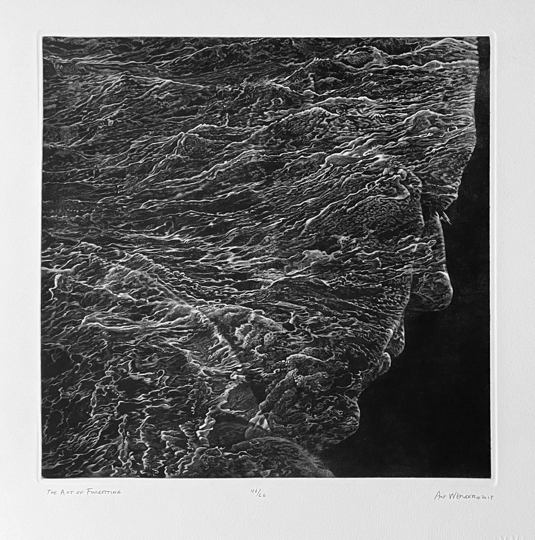 charlotte werger