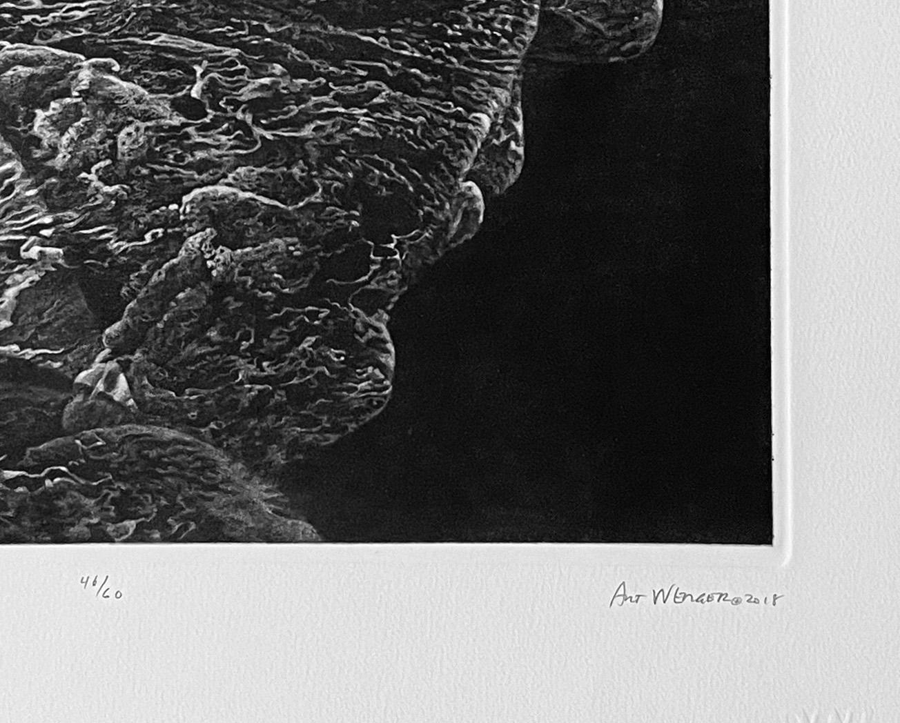herman werger