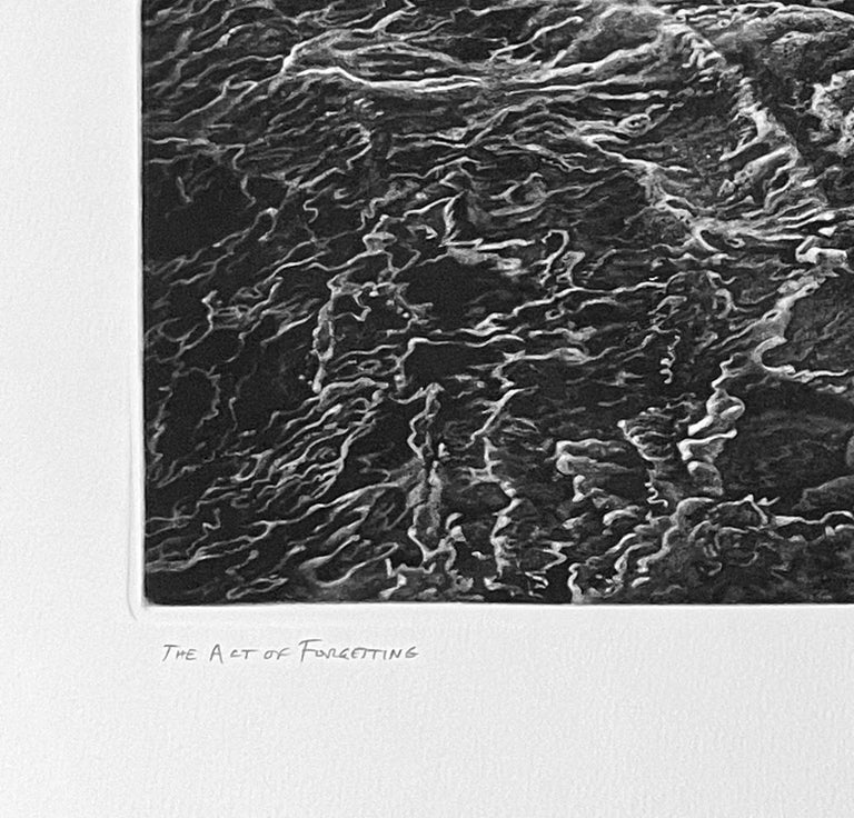 Art Werger The Act of For Sale at 1stDibs